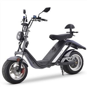 DAYI E-Thor 2.0A EEC 2 Wheel Moped 2000W